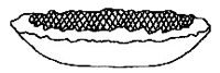 Diagram of Bonsai