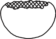 Diagram of Dragon Egg
