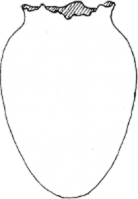 Diagram of Egg Vase