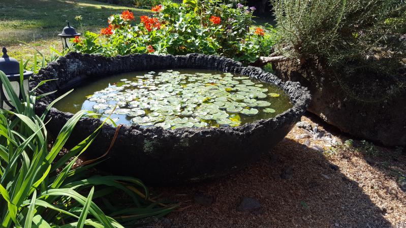Image of Bowl