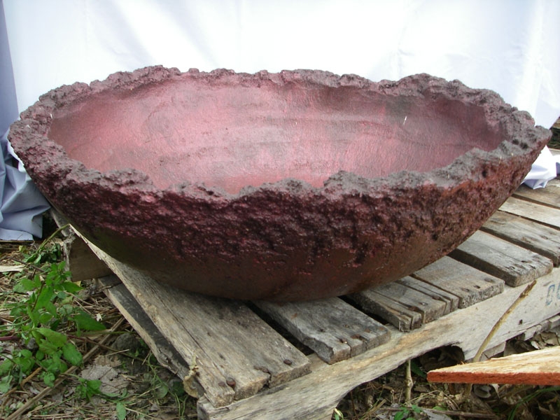 Image of Bonsai