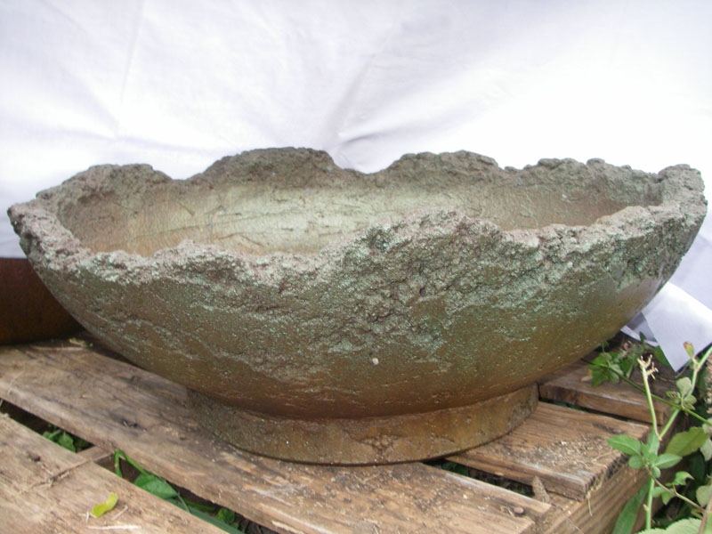 Image of Footed Bonsai