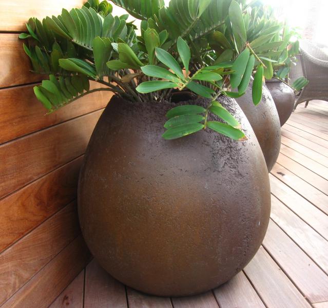Image of Calabash
