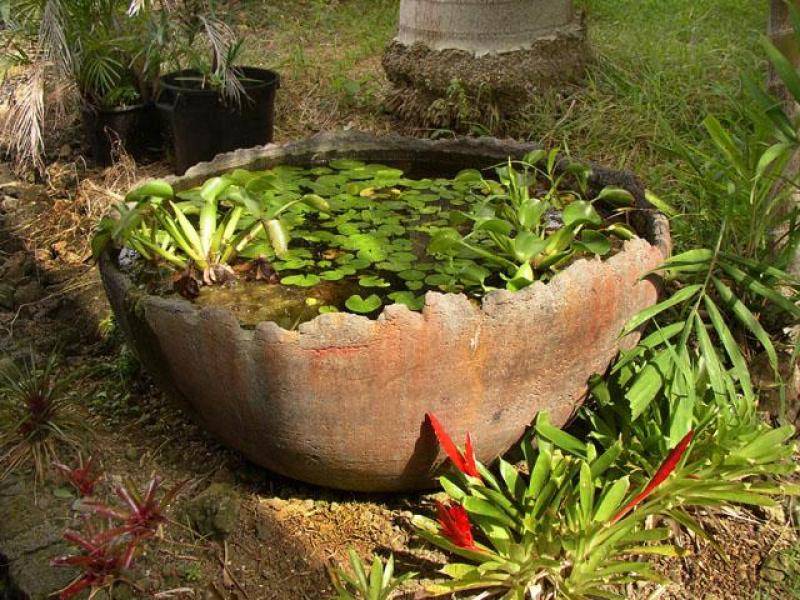 Image of Bowl