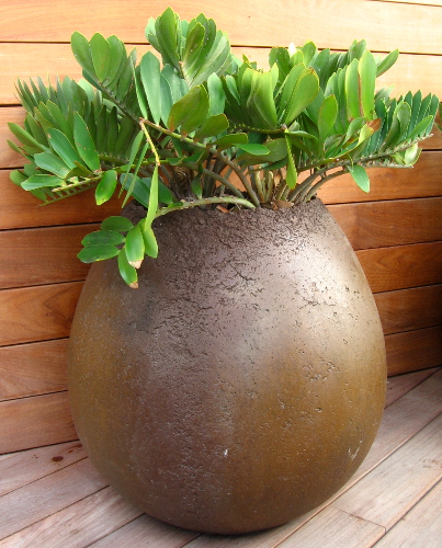 Planters